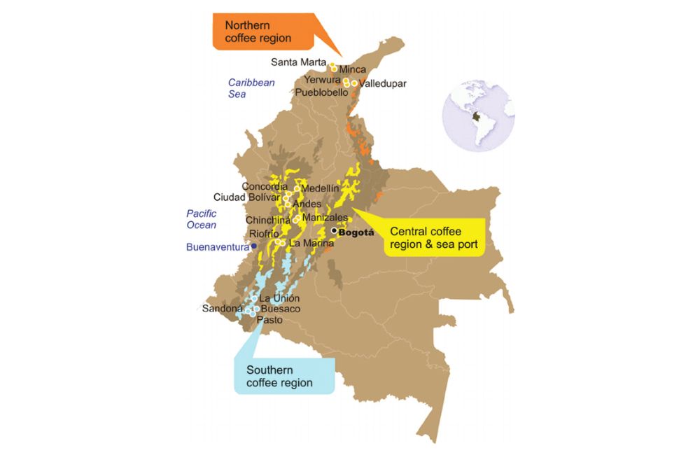 El café colombiano de especialidad está ganando peso en la industria del país.