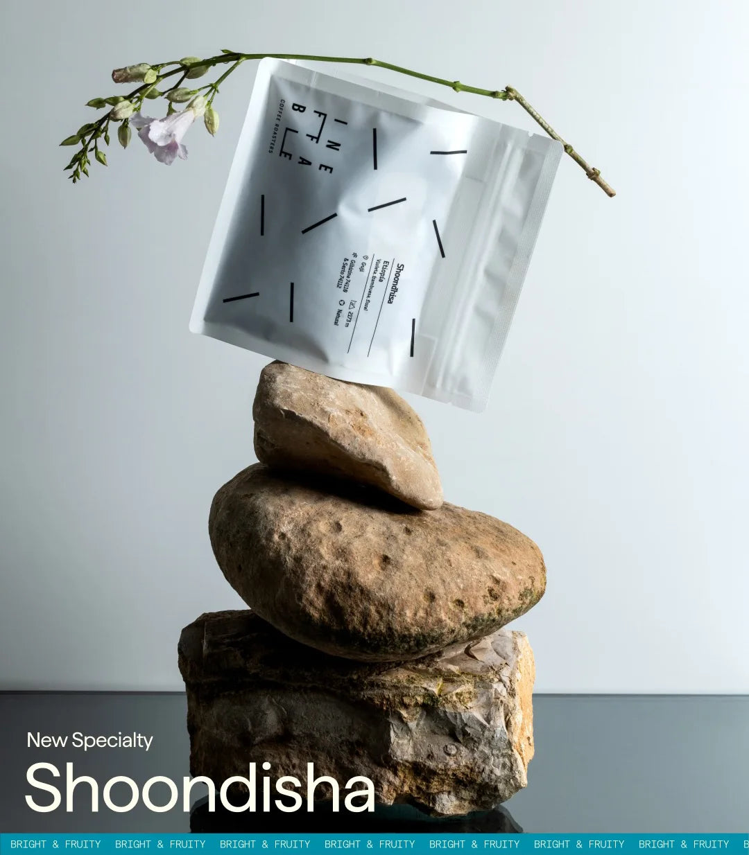 Shoondhisa
