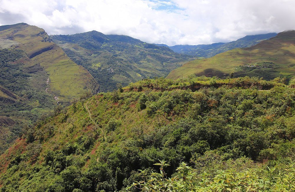 Monográficos de origen: Perú