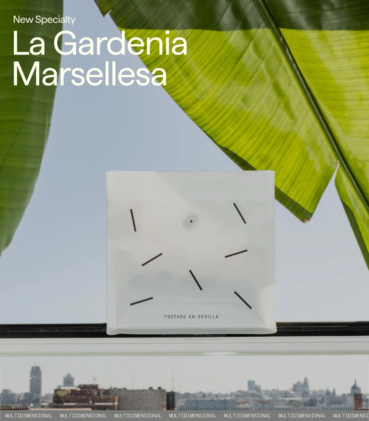 La Gardenia Marsellesa